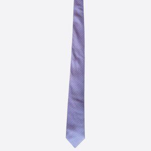 Hermes Purple & Blue Striped Silk Tie